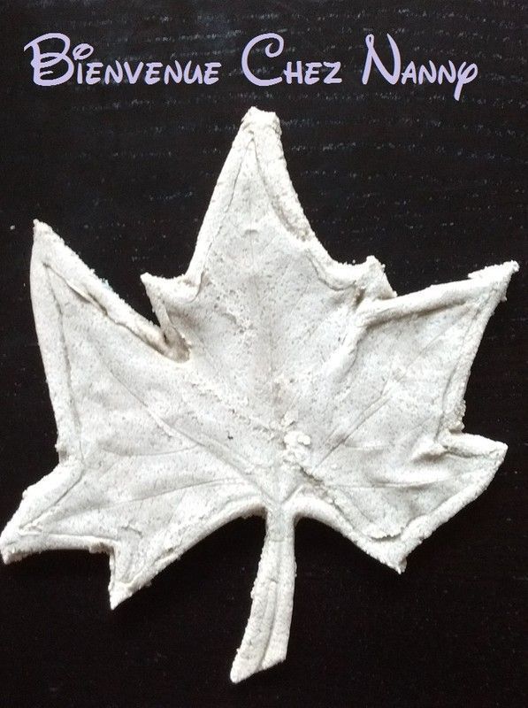 Empreinte de feuilles en pâte à sel